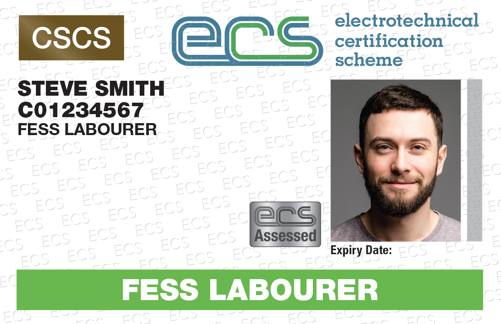 Fire, Emergency & Security Systems (FESS)